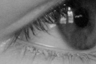 dtail 1 1600 iso