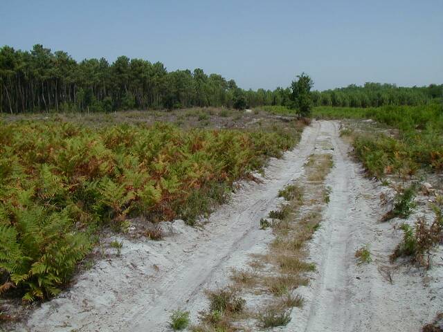  Chemin de sable.

