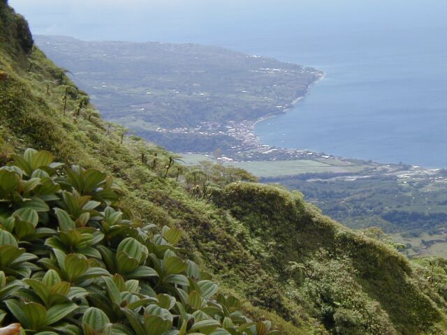  Vue sur St Pierre

